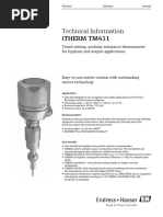 iTHERM ModuLine Thermometer Guide | PDF | Electricity