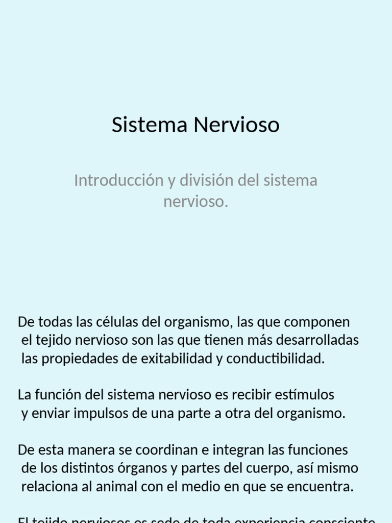 Estructura y Funciones del Sistema Nervioso | PDF | Médula espinal ...