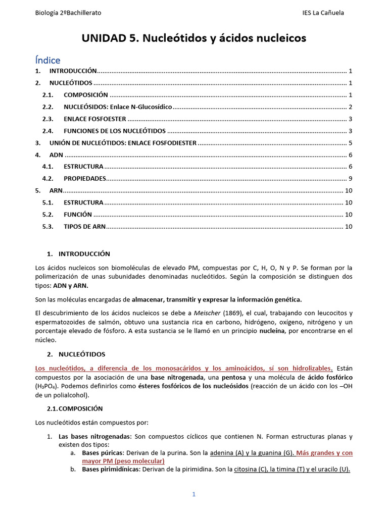 Nucleótidos y Ácidos Nucleicos en Biología | PDF | Rna | Adn