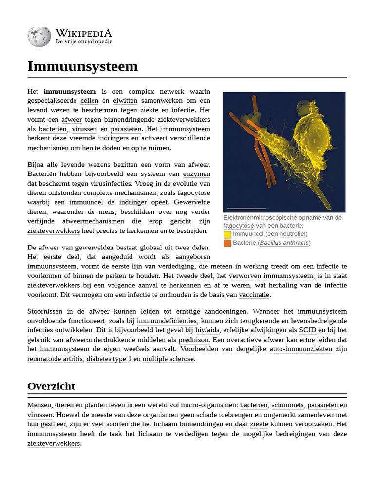 I Mmuu Nsy Steem | PDF