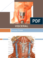 Repaso - Cuello Visceral