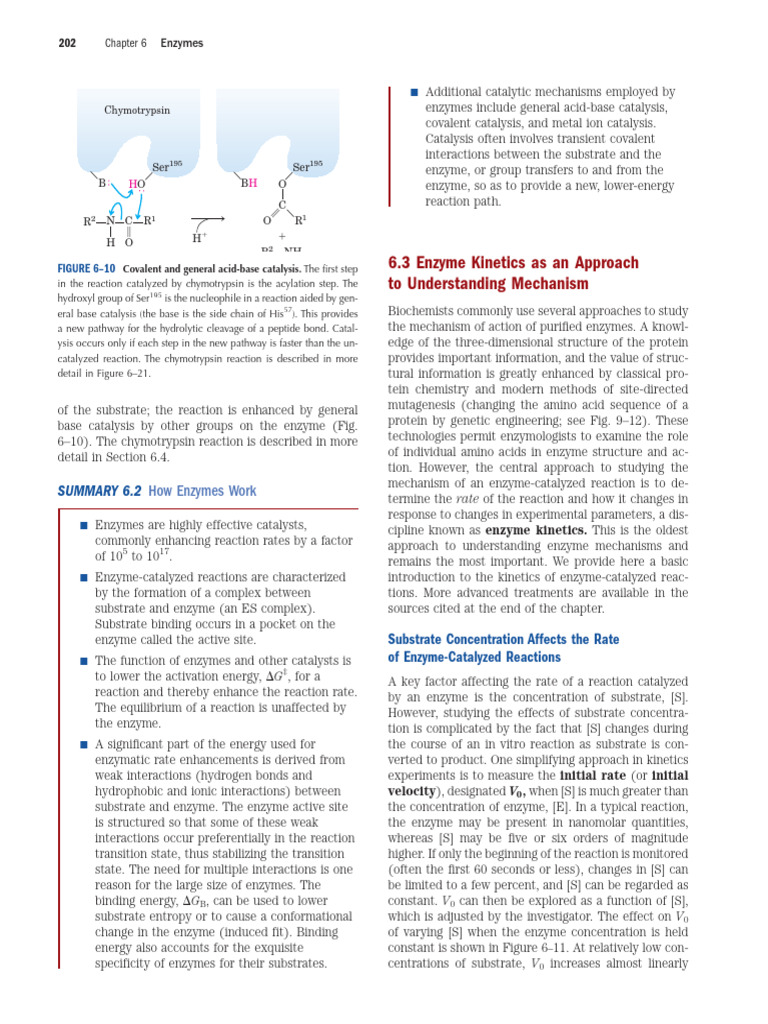 Enzyme Kinetics and Catalysis Explained | PDF | Enzyme Kinetics | Enzyme