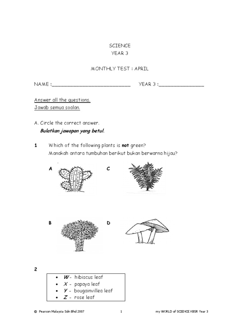 Soalan Science Year 3...... | PDF | Botany | Botany