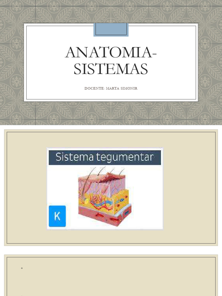 Anatomia Humana: Pele e Sistemas Principais | PDF | Rim | Pulmão