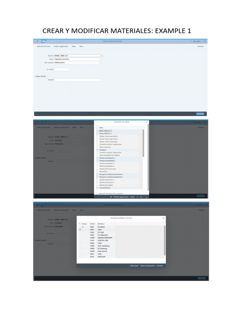Crear y Modificar Materiales en SAP S4 HANA Example 1 | PDF