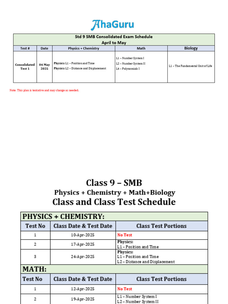STD 9 Consolidated Exam Schedule | PDF