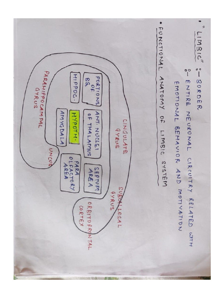 Limbic System Physiology Mbbs First Year | PDF