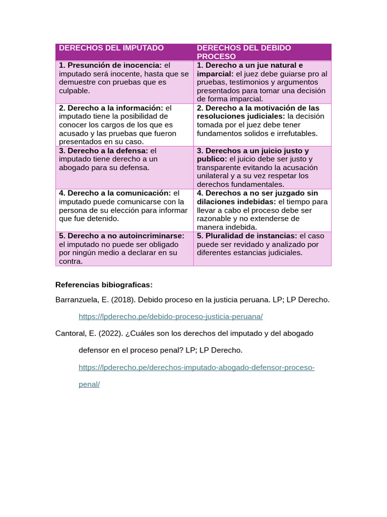 Derechos del Imputado en el Proceso Penal | PDF
