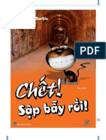 Chet, Sap Bay Roi