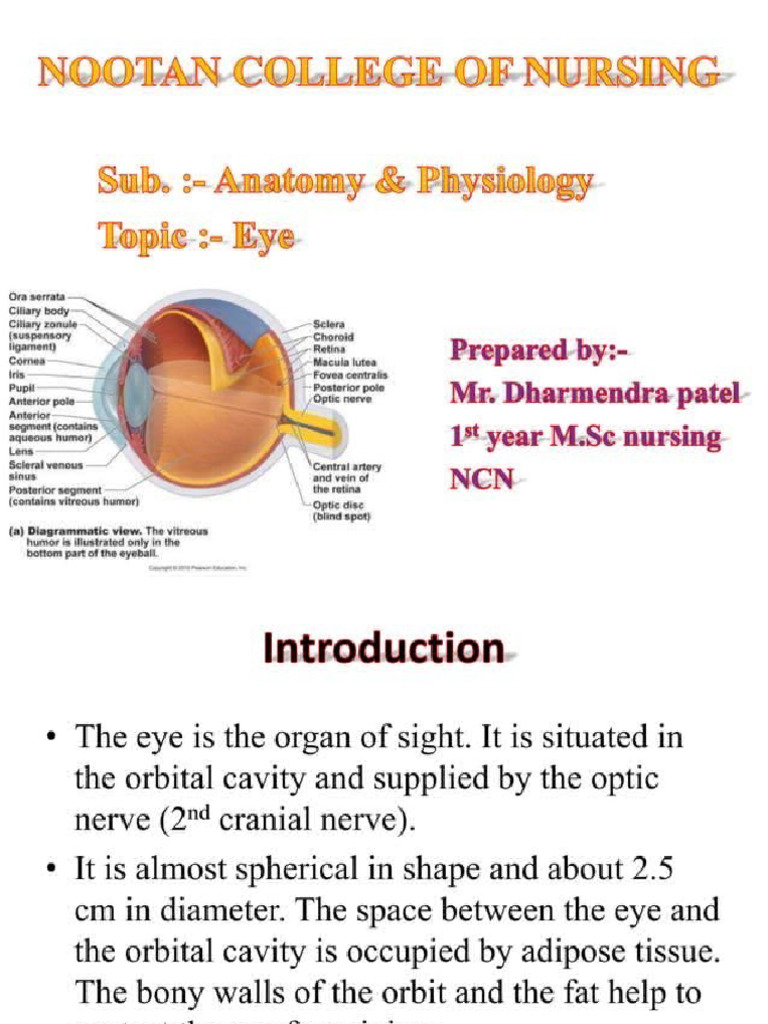 Eye 3 | PDF