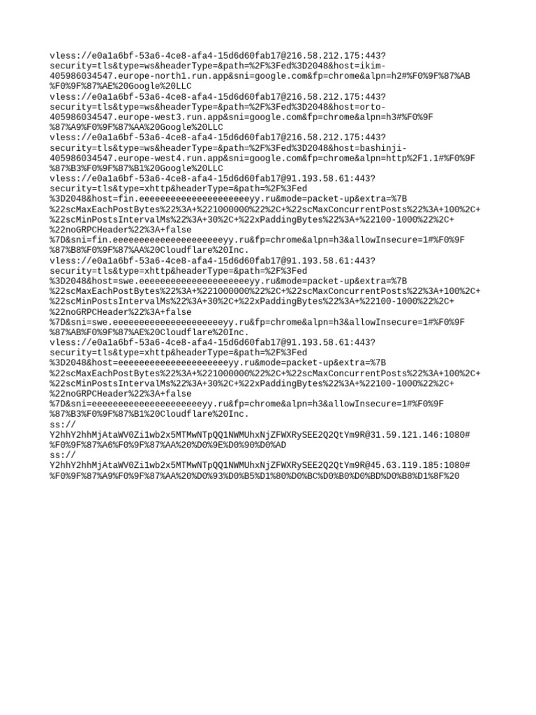 VLESS and SS Proxy Configurations | PDF