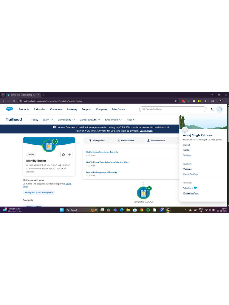 Salesforce 3 | PDF