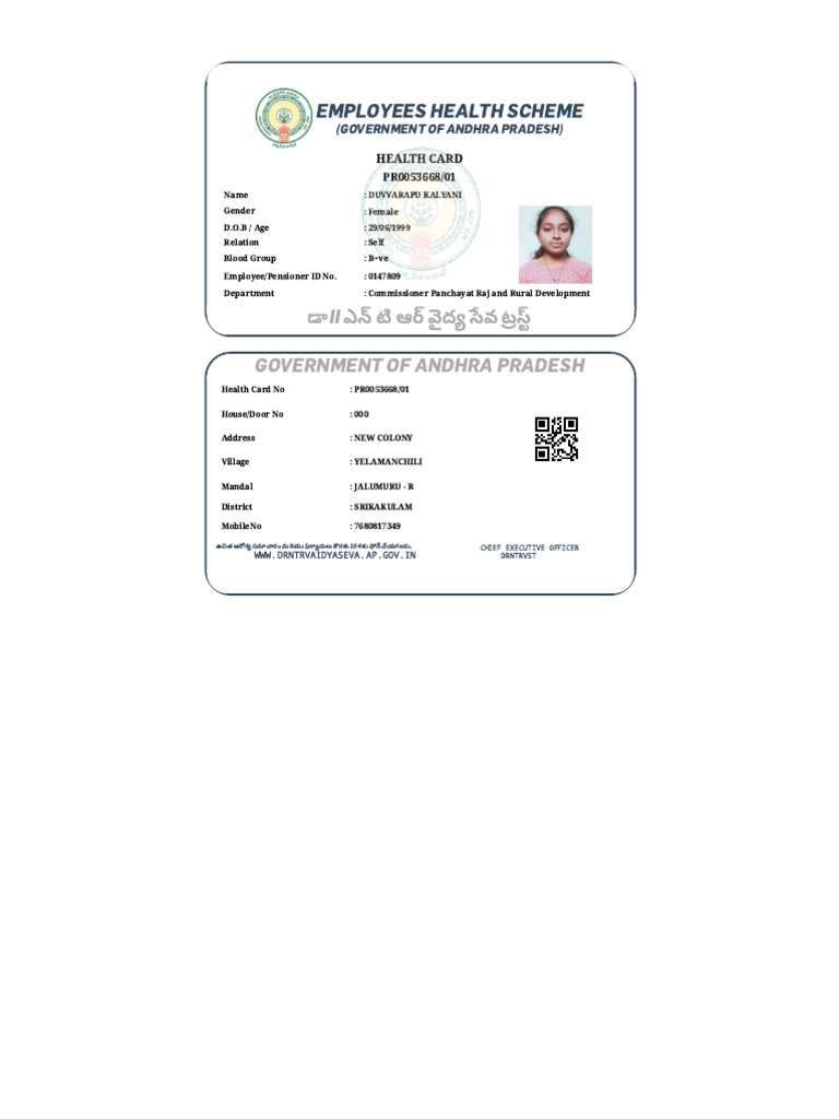 Employees Health Scheme | PDF