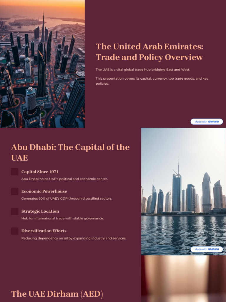 UAE Trade and Policy Overview 2023 | PDF