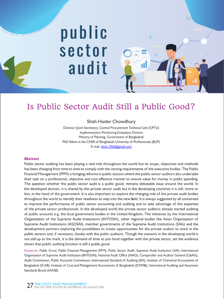 Public Sector Audit: A Public Good? | PDF | Audit | Accountant