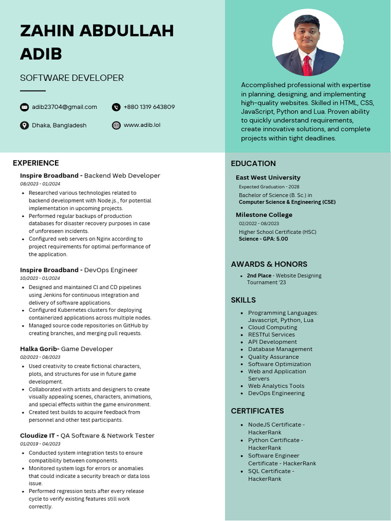 Adib Abdullah: Software Developer Profile | PDF | Software Development ...