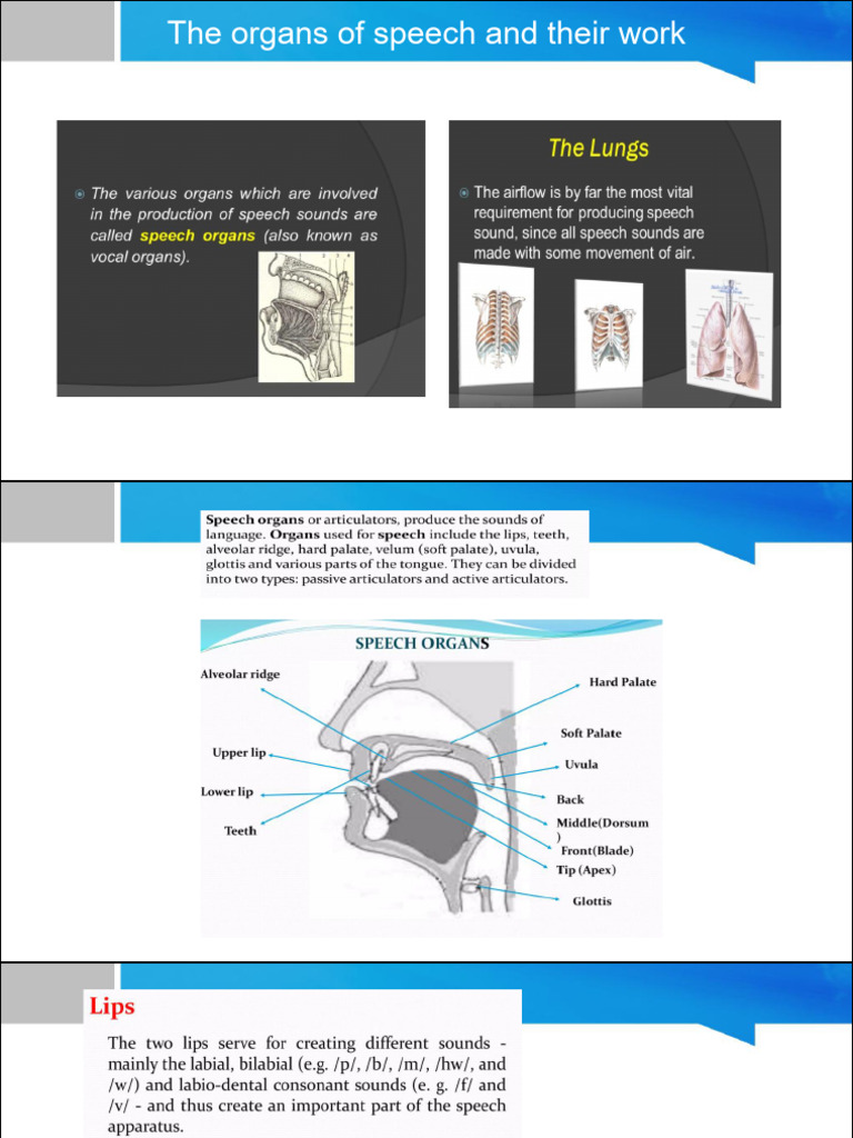 13-the-organs-of-speech-and-their-work-pdf