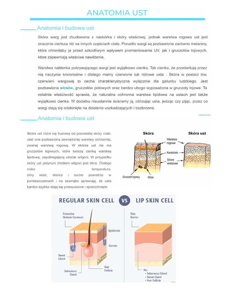 Lift Lips | PDF
