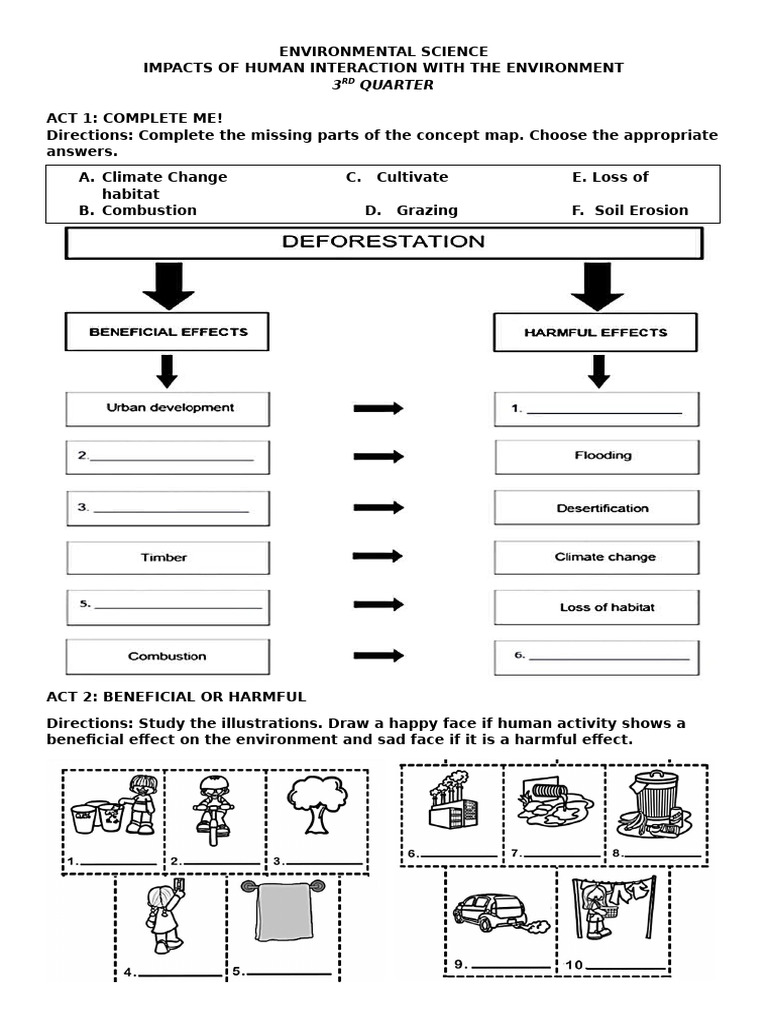 Human Impact on the Environment Activities | PDF | Natural Environment ...