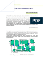 Pindo Deli - Company Case Study (Bahasa Indonesia)