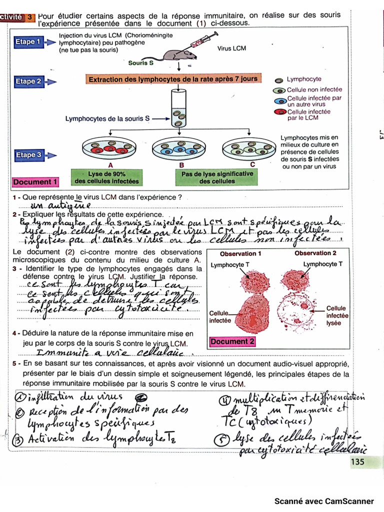 Ye 4 X Ue 8 Koh 4 Oj 4 Ju 2 Ir 4 A4 A Yknwv QJ KDQGNXHX 14 | PDF