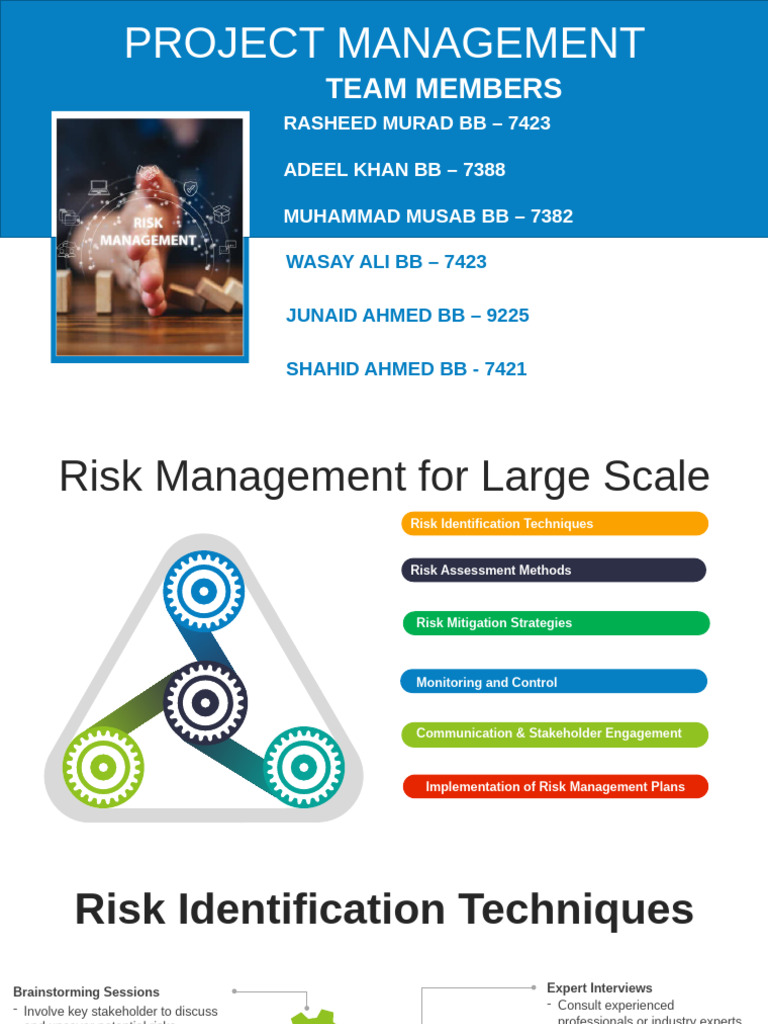 Effective Risk Management Strategies | PDF | Risk | Risk Management