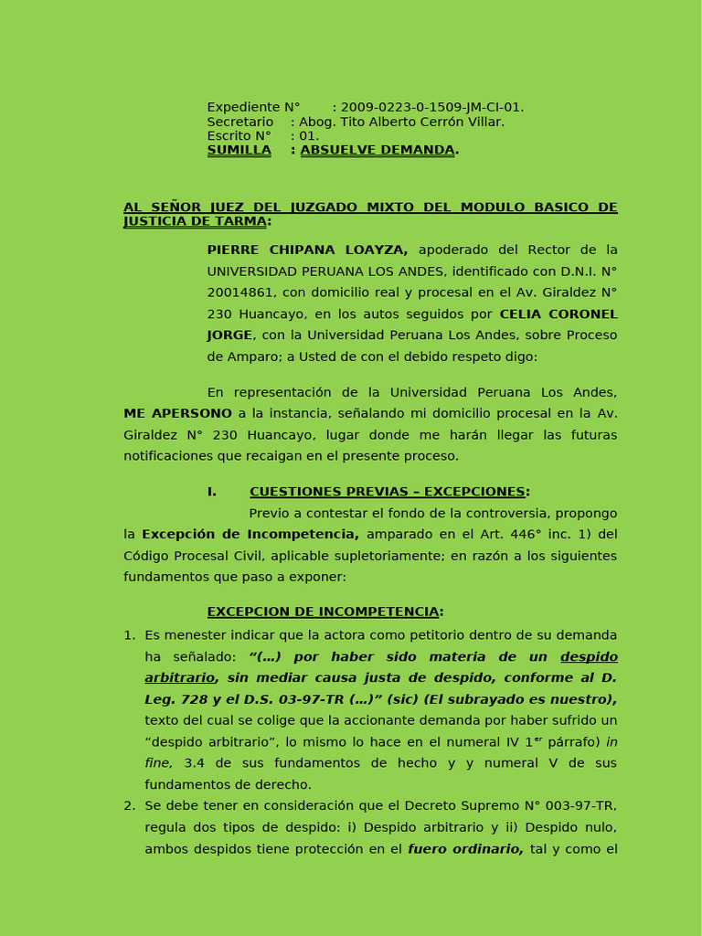 Excepción de Incompetencia en Amparo | PDF | Caso de ley | Demanda judicial