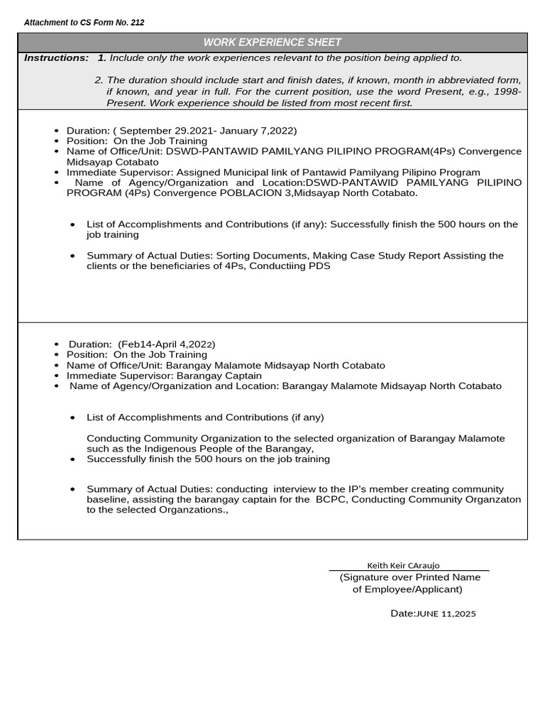 Work Experience Sheet for Job Application | PDF