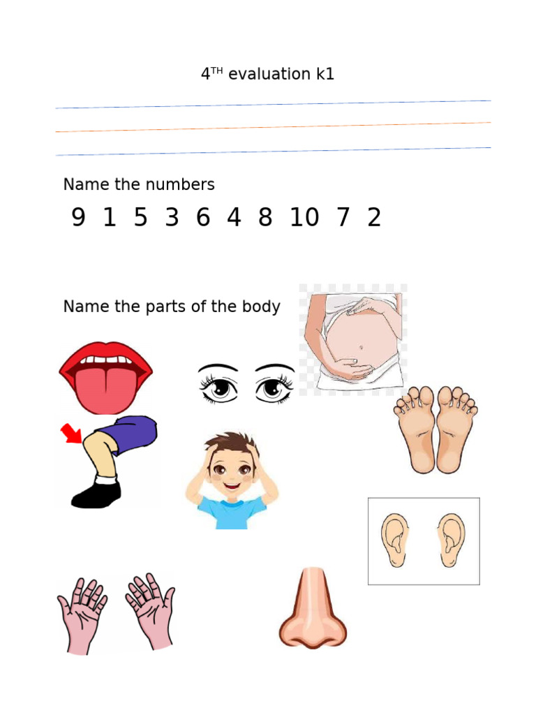 K1 4th Evaluation: Numbers, Senses, Shapes | PDF