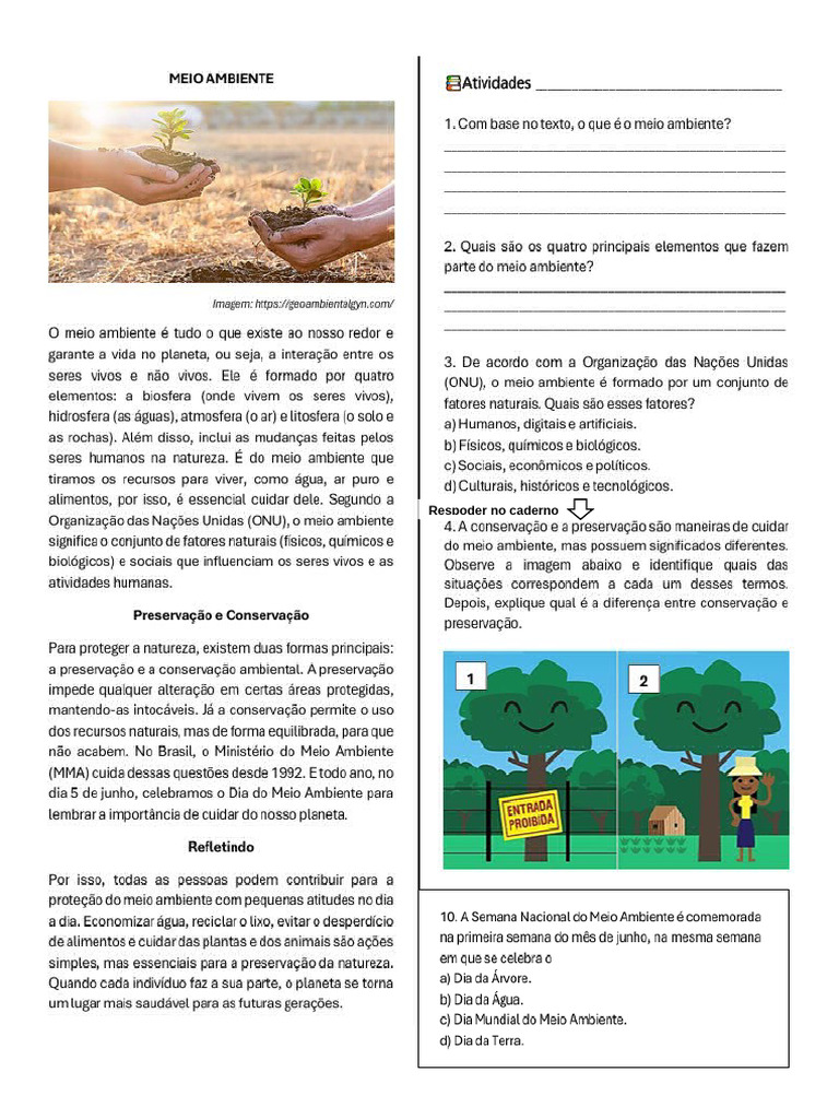 Meio Ambiente 4º Ano | PDF