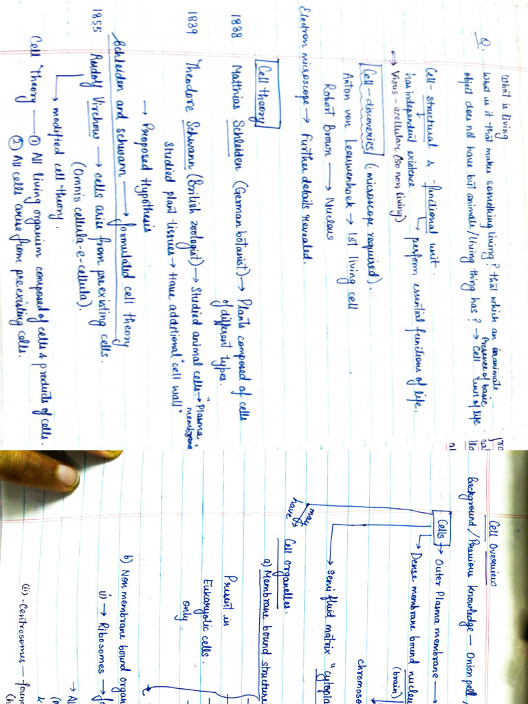 Cell Structure and Function Notes | PDF | Endoplasmic Reticulum | Cell ...