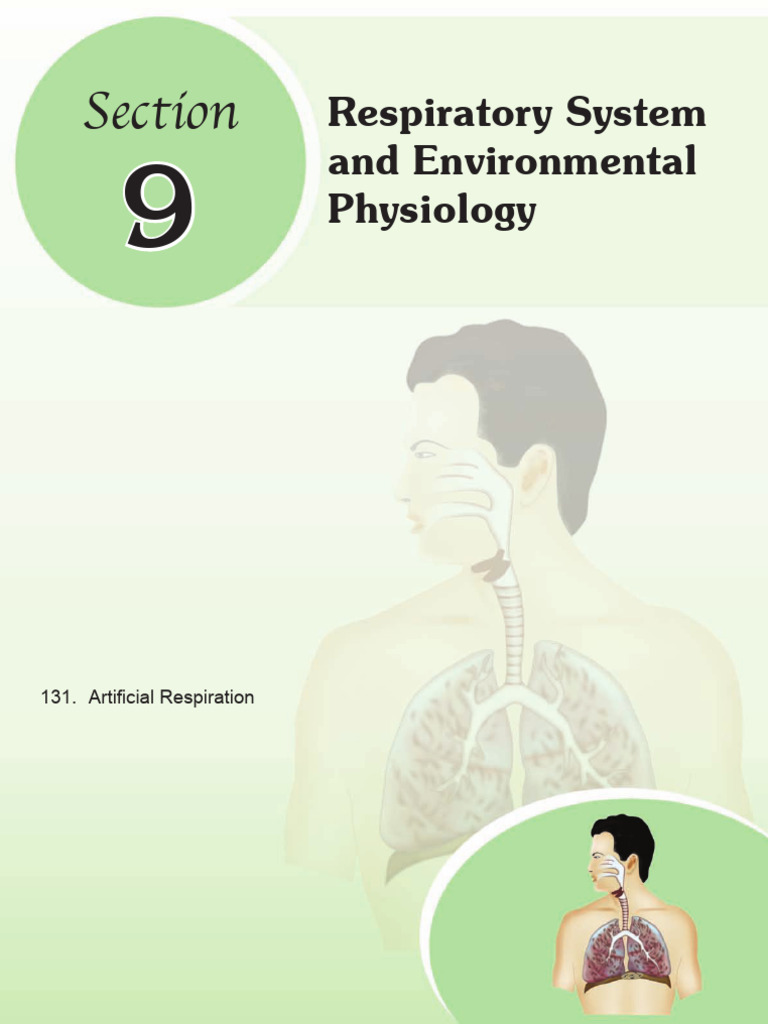 Respiratory System Physiology Overview | PDF | Respiratory Tract ...