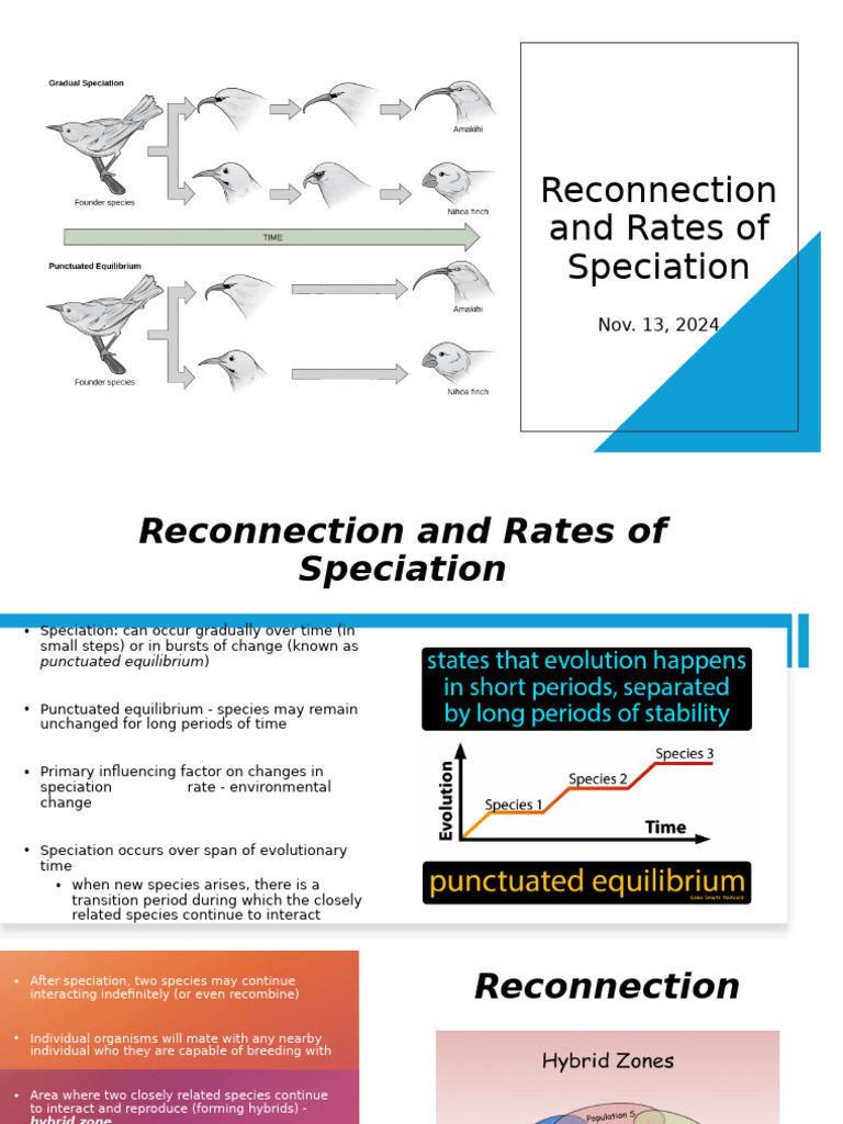 Reconnection and Rates of Speciation | PDF | Species | Evolution