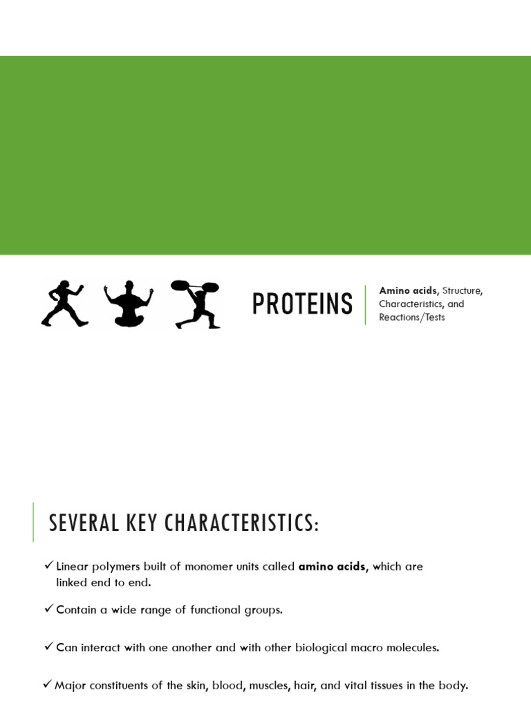 Amino Acids and Proteins | PDF | Amino Acid | Proteins