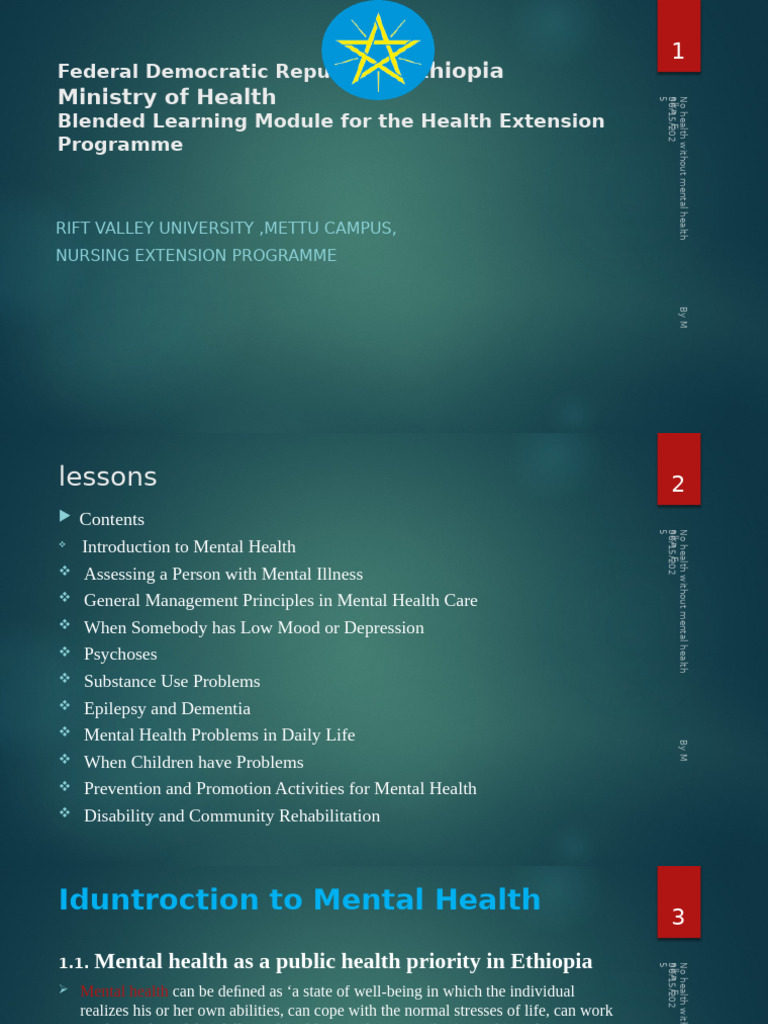 Mental Health Challenges in Ethiopia | PDF | Mental Disorder | Mental ...