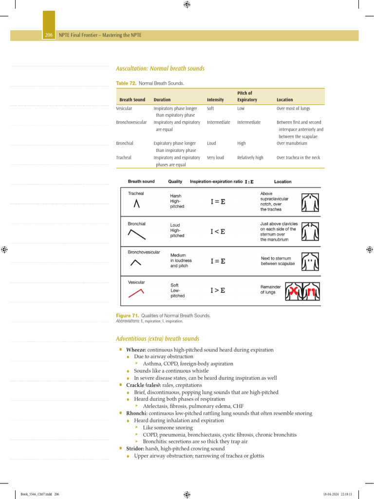 Auscultation: Normal Breath Sounds: NPTE Final Frontier - Mastering The ...