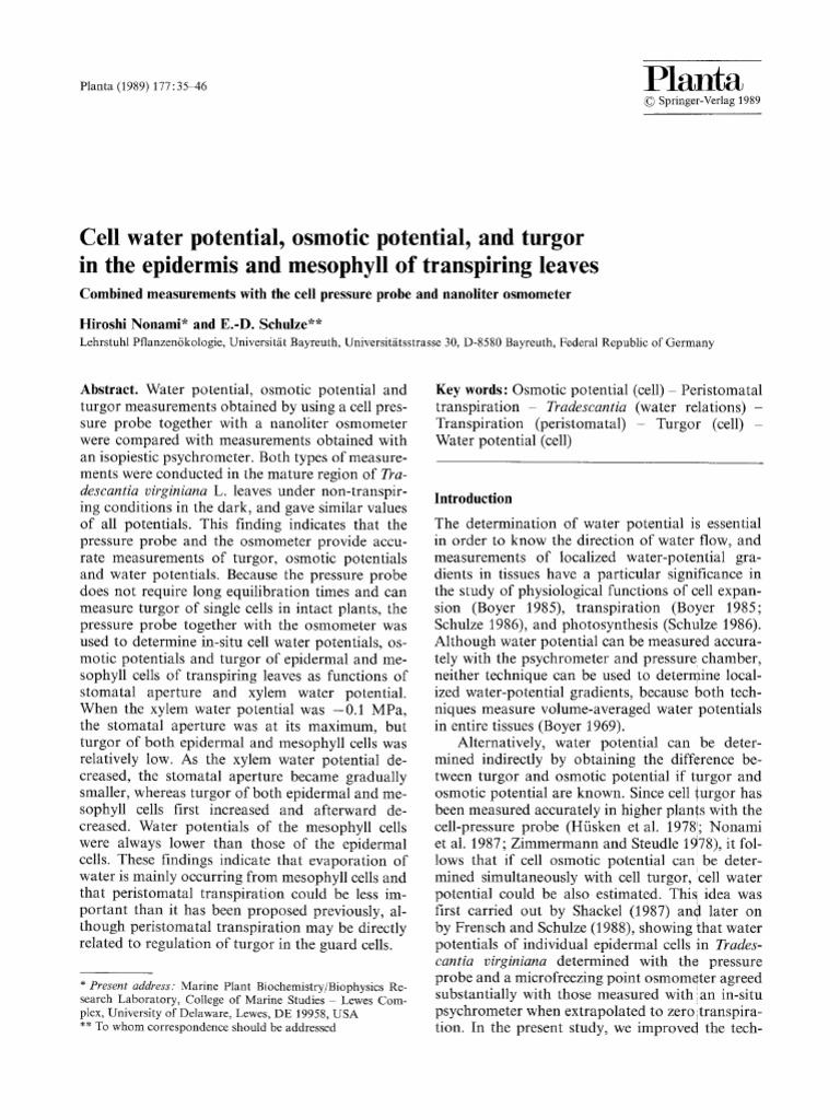 Cell Water Potential in Leaves | PDF | Stoma | Leaf