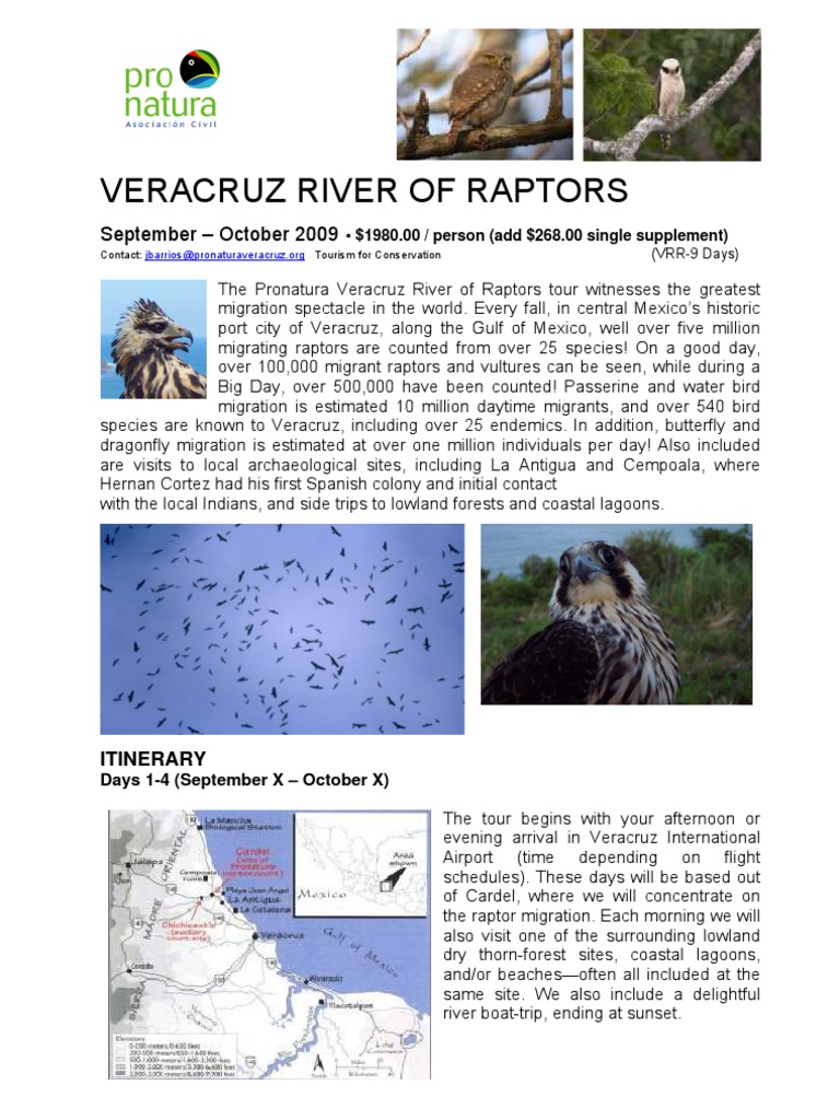Veracruz Raptors Migration Tour 2023 | PDF | Hawk | Bird Migration