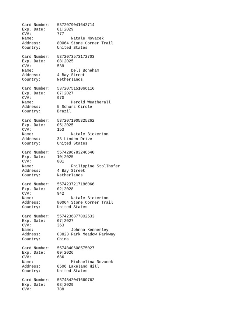 Credit Card Information List | PDF