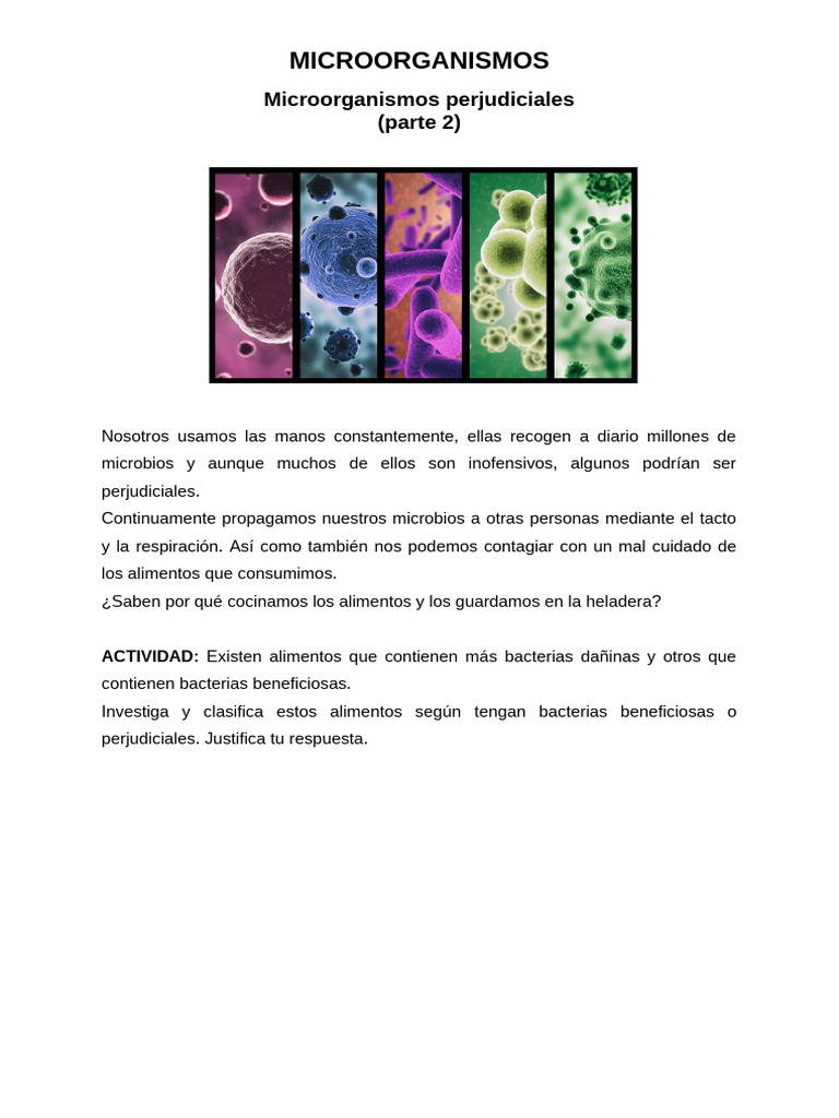 Microorganismos Perjudiciales en Alimentos | PDF