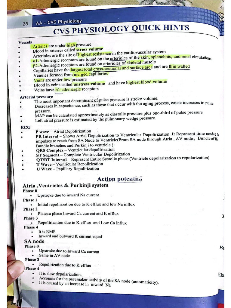 CVS Double A 1st 100 MCQs | PDF