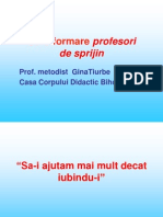 Formare Prof - Sprijin