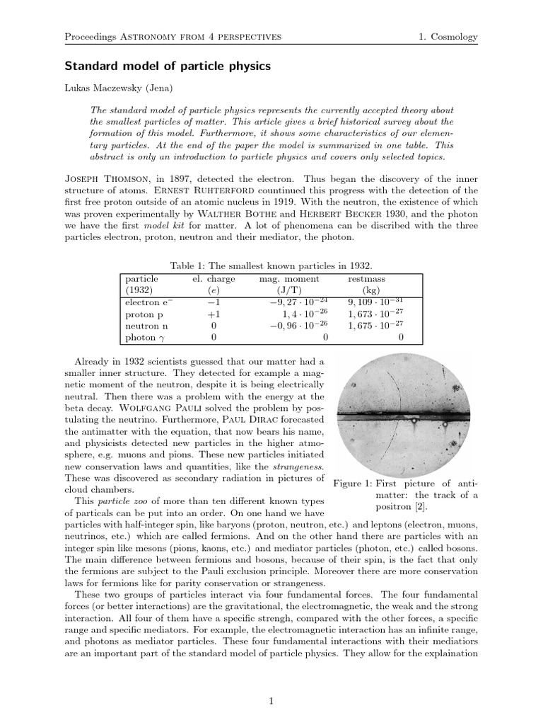 Overview of Particle Physics Model | PDF | Quark | Elementary Particle