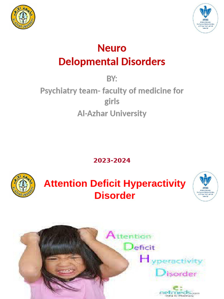 Overview of Neurodevelopmental Disorders | PDF | Attention Deficit ...
