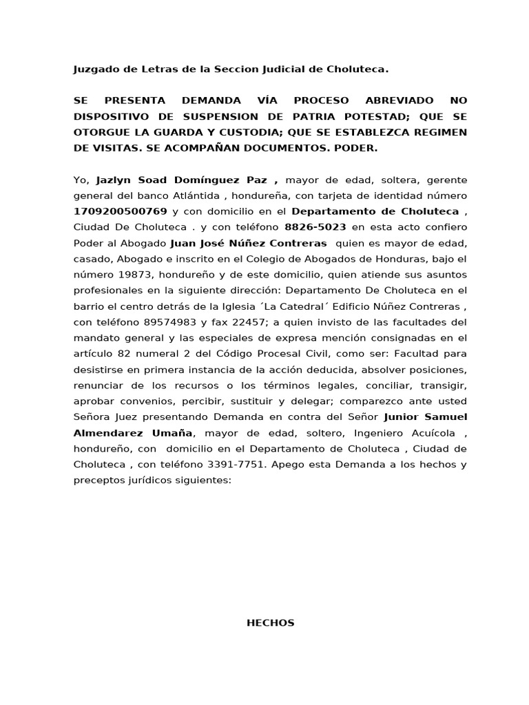 Demanda Perdida de Patria Potestad Abg Juan Jose Nuñez Contreras | PDF ...