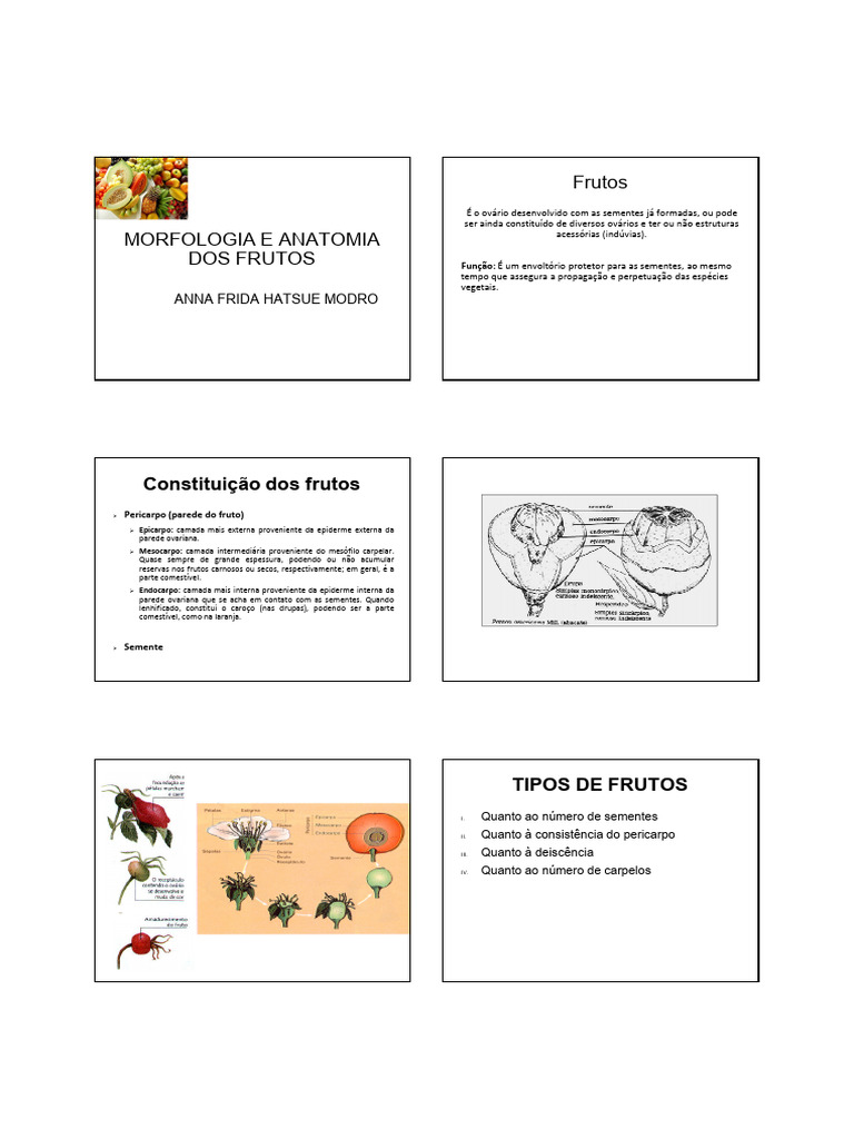 Morfologia e Tipos de Frutos Vegetais | PDF | Morfologia vegetal | Plantas