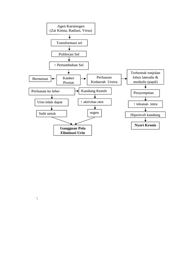 CA Pathway 1 | PDF