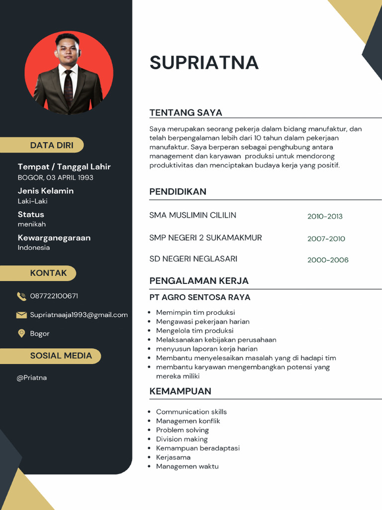 CV Update | PDF