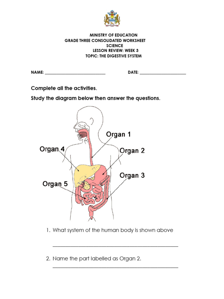Grade 3 Science Week 3 Review - 2022 - Consolidated Worksheet | PDF