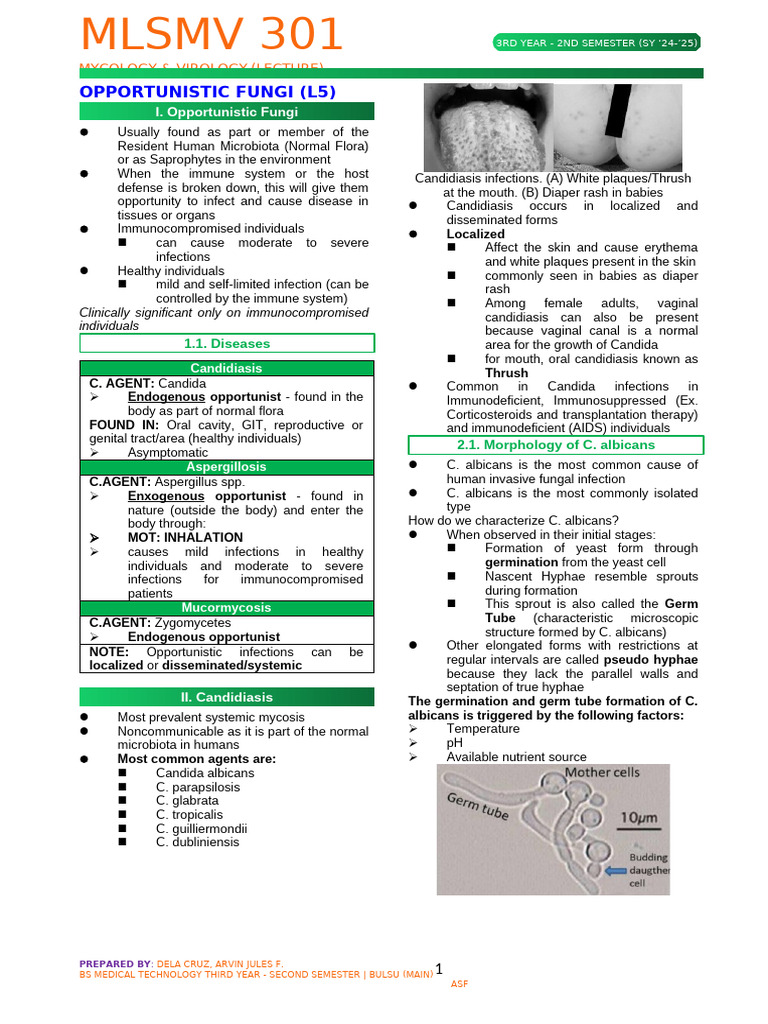 Opportunistic Fungi L5 (03.05.25) | PDF | Candidiasis | Candida (Fungus)